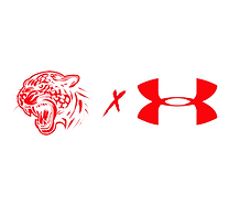 IMG_3782 (1).png